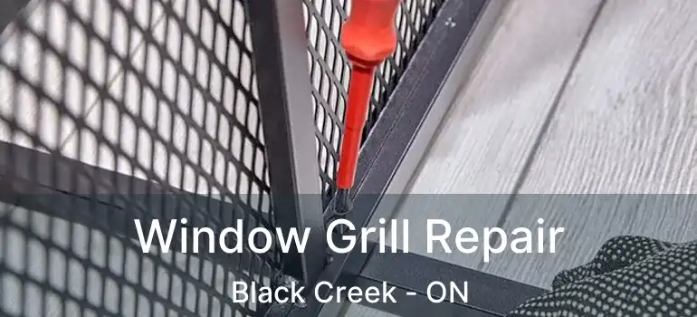  Window Grill Repair Black Creek - ON