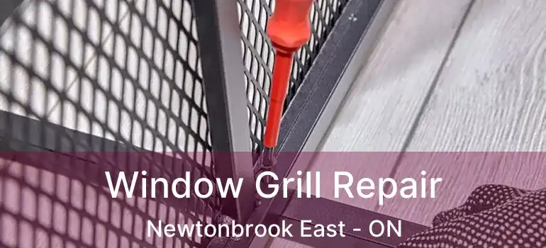  Window Grill Repair Newtonbrook East - ON