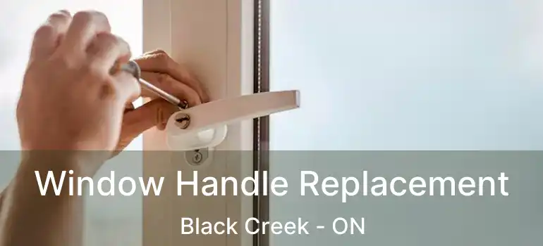  Window Handle Replacement Black Creek - ON
