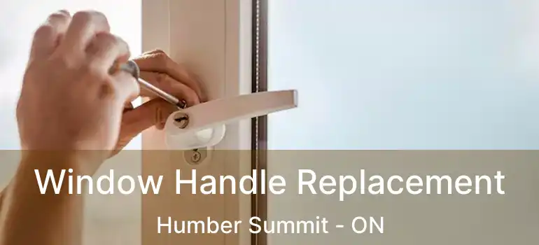  Window Handle Replacement Humber Summit - ON