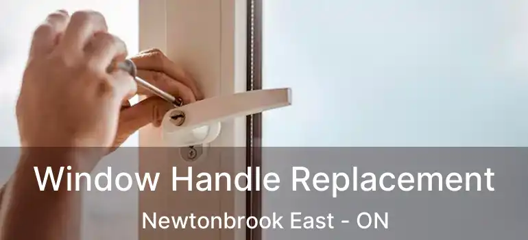  Window Handle Replacement Newtonbrook East - ON