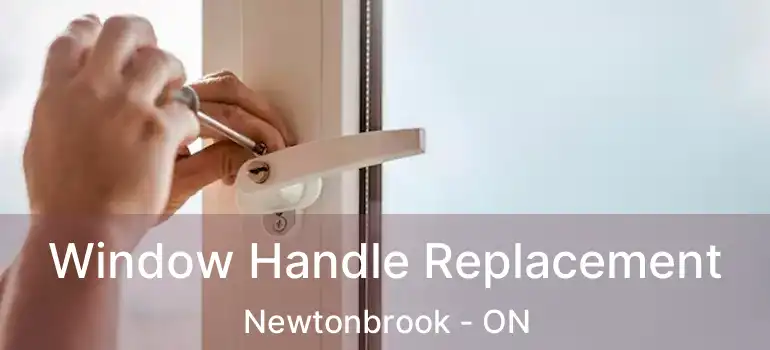  Window Handle Replacement Newtonbrook - ON