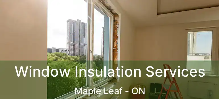  Window Insulation Services Maple Leaf - ON