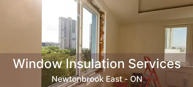  Window Insulation Services Newtonbrook East - ON