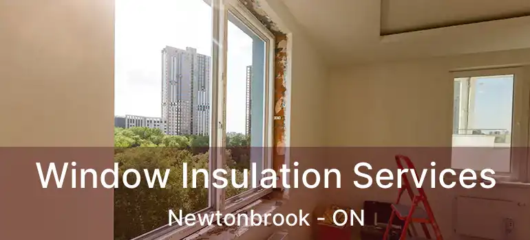  Window Insulation Services Newtonbrook - ON