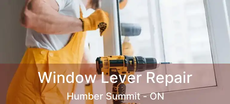  Window Lever Repair Humber Summit - ON