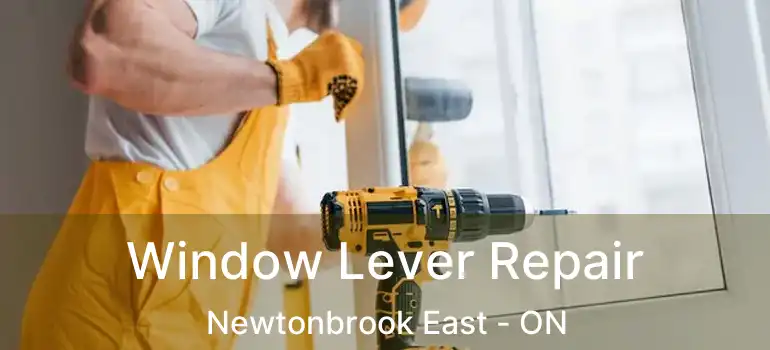  Window Lever Repair Newtonbrook East - ON