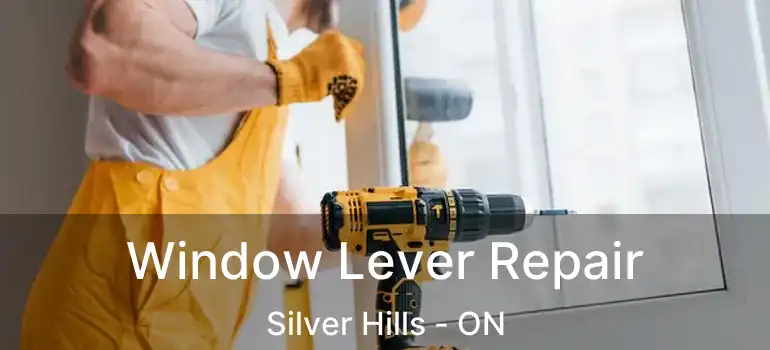  Window Lever Repair Silver Hills - ON