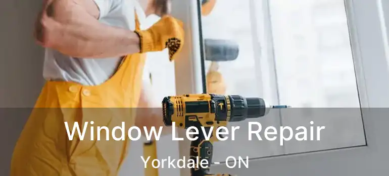  Window Lever Repair Yorkdale - ON