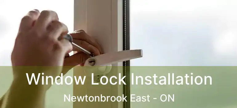  Window Lock Installation Newtonbrook East - ON