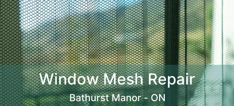  Window Mesh Repair Bathurst Manor - ON