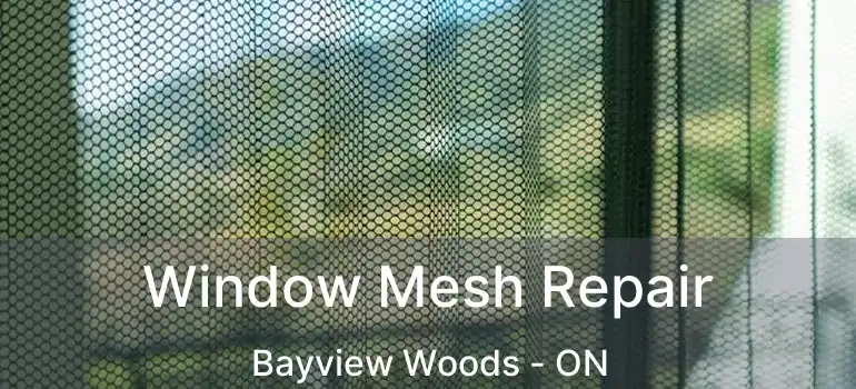  Window Mesh Repair Bayview Woods - ON