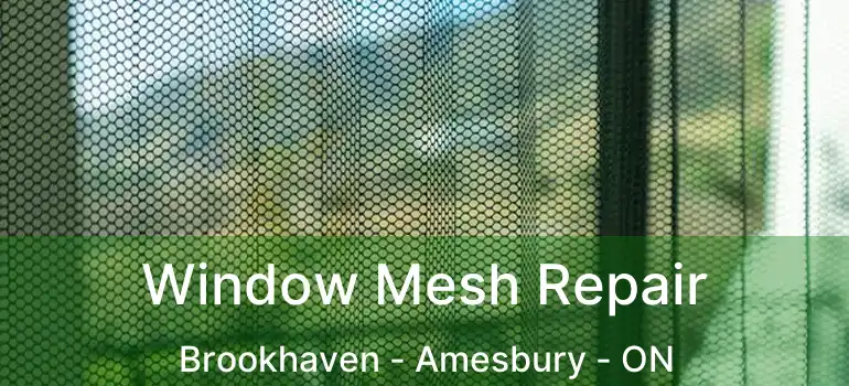  Window Mesh Repair Brookhaven - Amesbury - ON