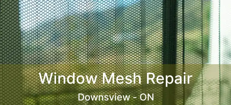  Window Mesh Repair Downsview - ON