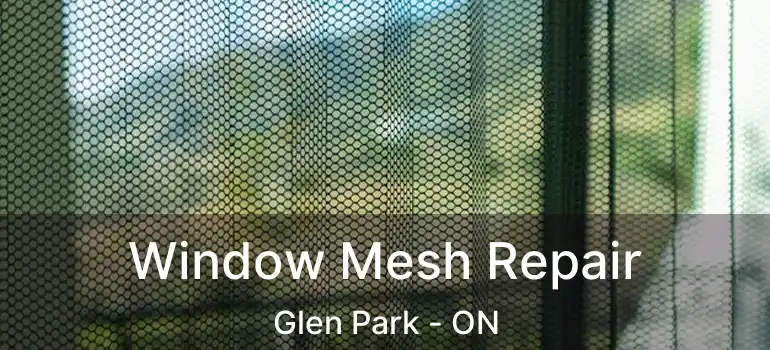  Window Mesh Repair Glen Park - ON
