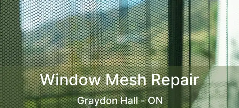  Window Mesh Repair Graydon Hall - ON