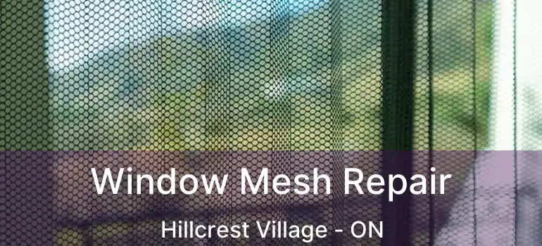  Window Mesh Repair Hillcrest Village - ON