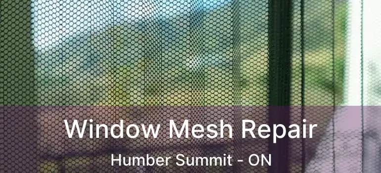  Window Mesh Repair Humber Summit - ON