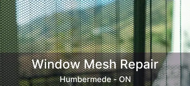  Window Mesh Repair Humbermede - ON