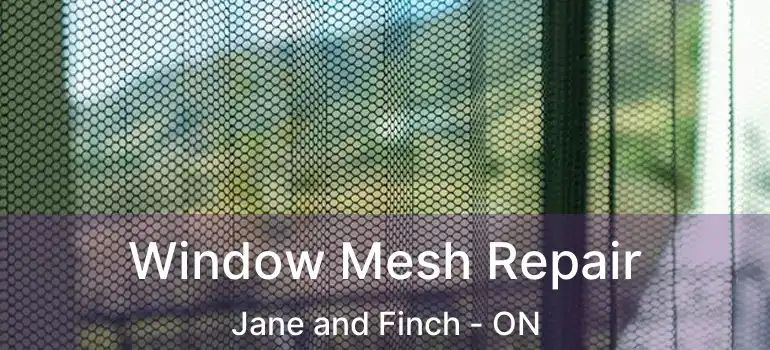 Window Mesh Repair Jane and Finch - ON