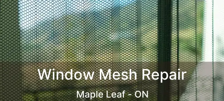  Window Mesh Repair Maple Leaf - ON