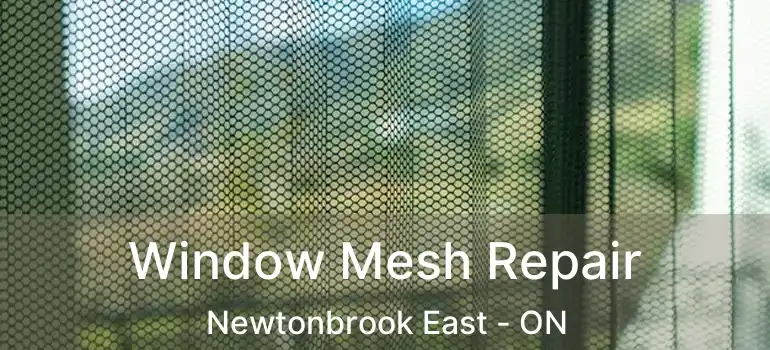 Window Mesh Repair Newtonbrook East - ON