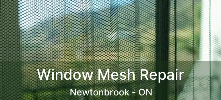  Window Mesh Repair Newtonbrook - ON
