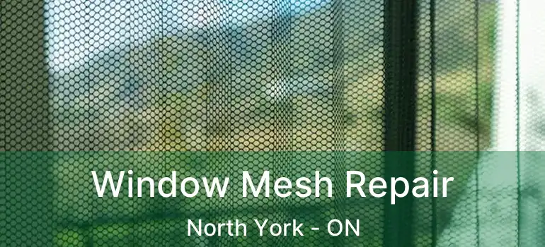  Window Mesh Repair North York - ON
