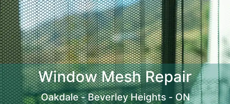  Window Mesh Repair Oakdale - Beverley Heights - ON