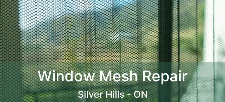  Window Mesh Repair Silver Hills - ON