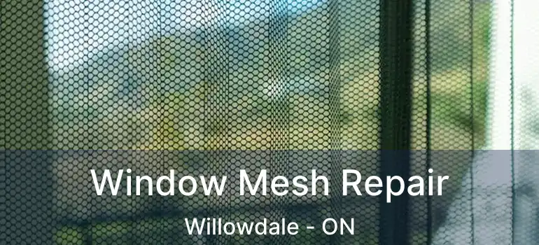  Window Mesh Repair Willowdale - ON