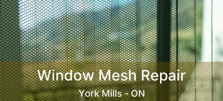  Window Mesh Repair York Mills - ON
