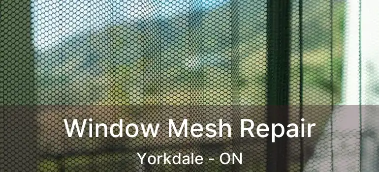  Window Mesh Repair Yorkdale - ON