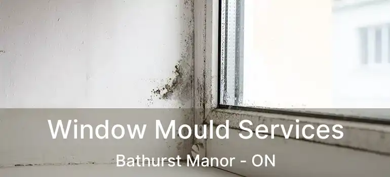  Window Mould Services Bathurst Manor - ON