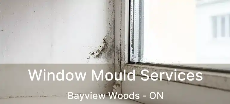  Window Mould Services Bayview Woods - ON