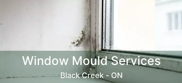  Window Mould Services Black Creek - ON
