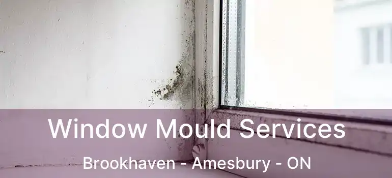  Window Mould Services Brookhaven - Amesbury - ON