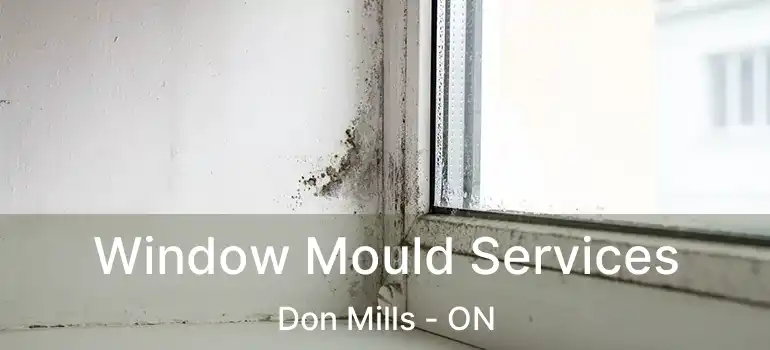  Window Mould Services Don Mills - ON