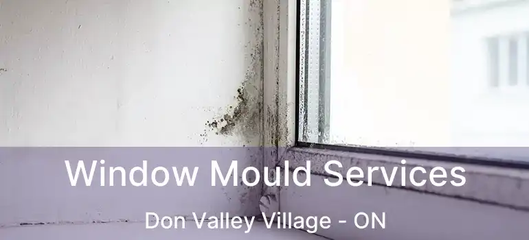  Window Mould Services Don Valley Village - ON