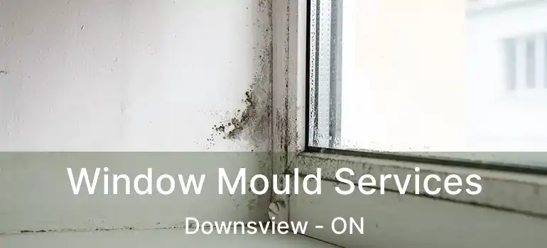  Window Mould Services Downsview - ON