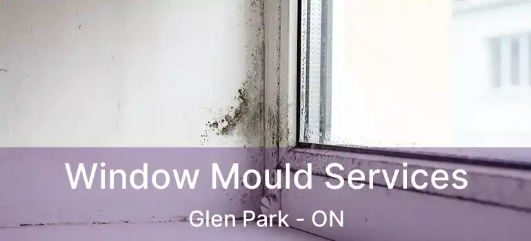  Window Mould Services Glen Park - ON
