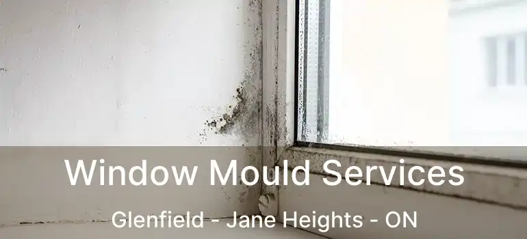  Window Mould Services Glenfield - Jane Heights - ON