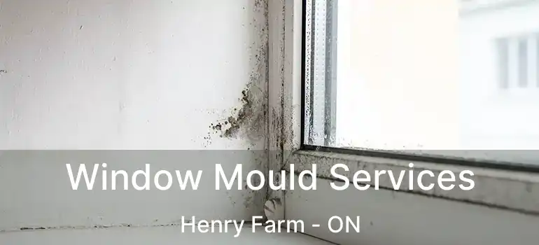  Window Mould Services Henry Farm - ON