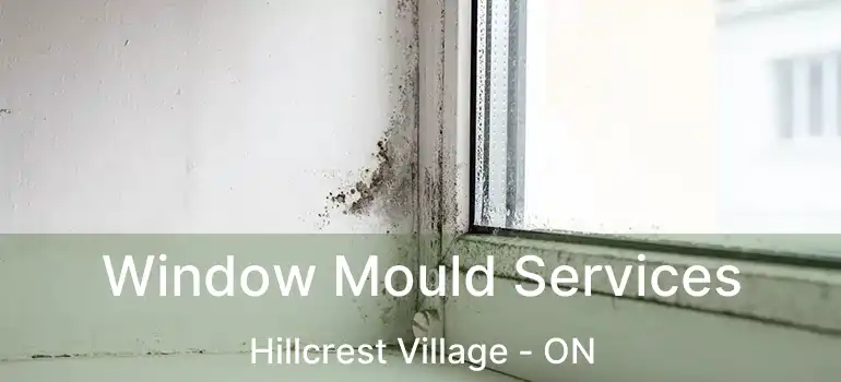  Window Mould Services Hillcrest Village - ON