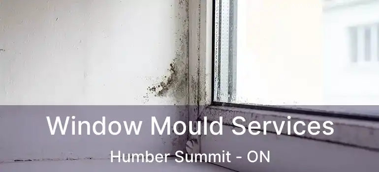  Window Mould Services Humber Summit - ON