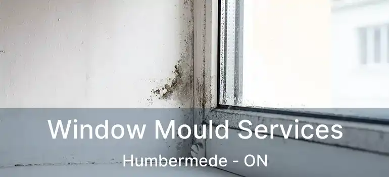  Window Mould Services Humbermede - ON