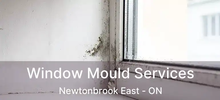  Window Mould Services Newtonbrook East - ON