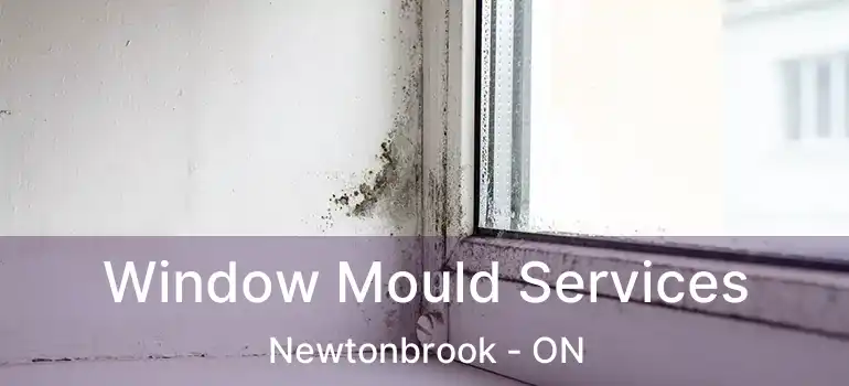  Window Mould Services Newtonbrook - ON