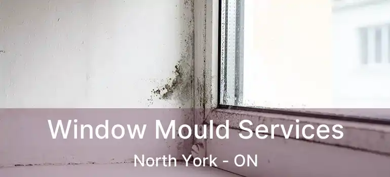  Window Mould Services North York - ON