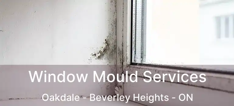  Window Mould Services Oakdale - Beverley Heights - ON